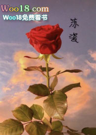 苏瓷南夹心饼干文