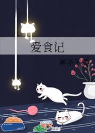 爱食记炒菜机适用场景