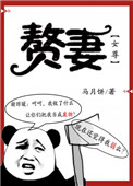 赘妻[女尊
