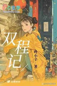 双程证电视ju